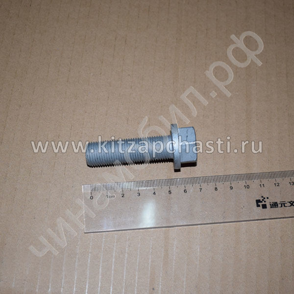 Болт шкива коленвала Xcite X-Cross 7  F3J12-1005031